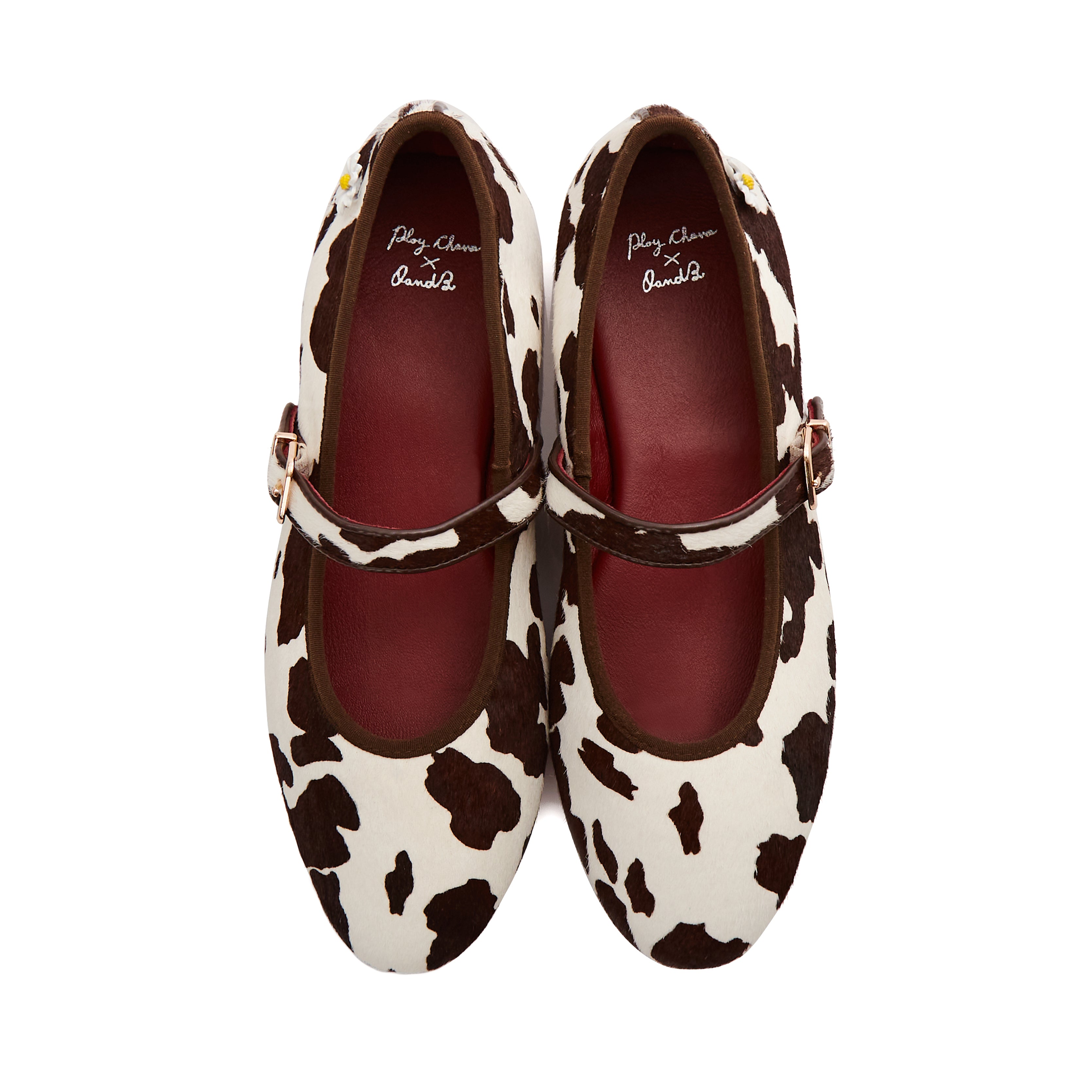 Carter Flats in Cow Ride