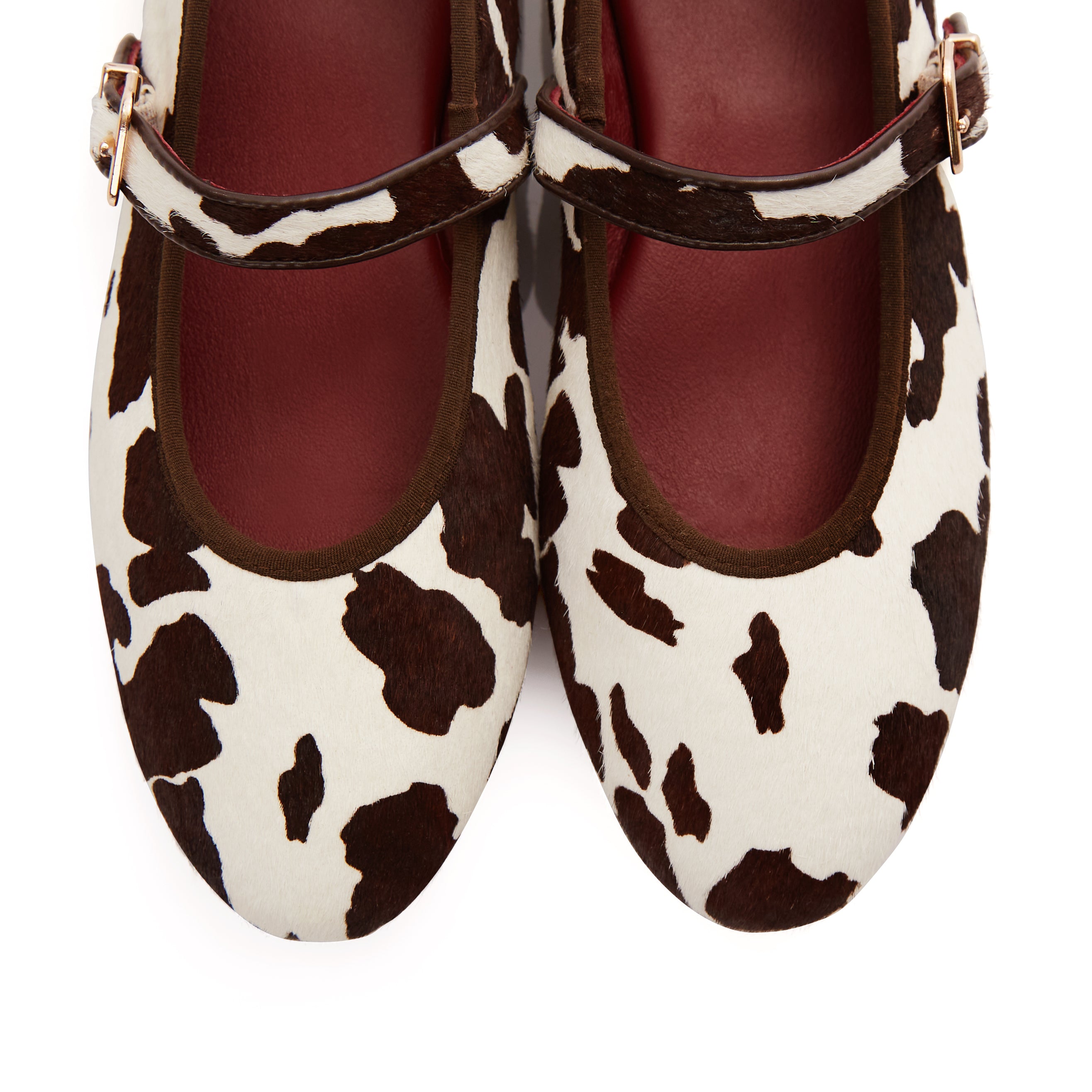Carter Flats in Cow Ride