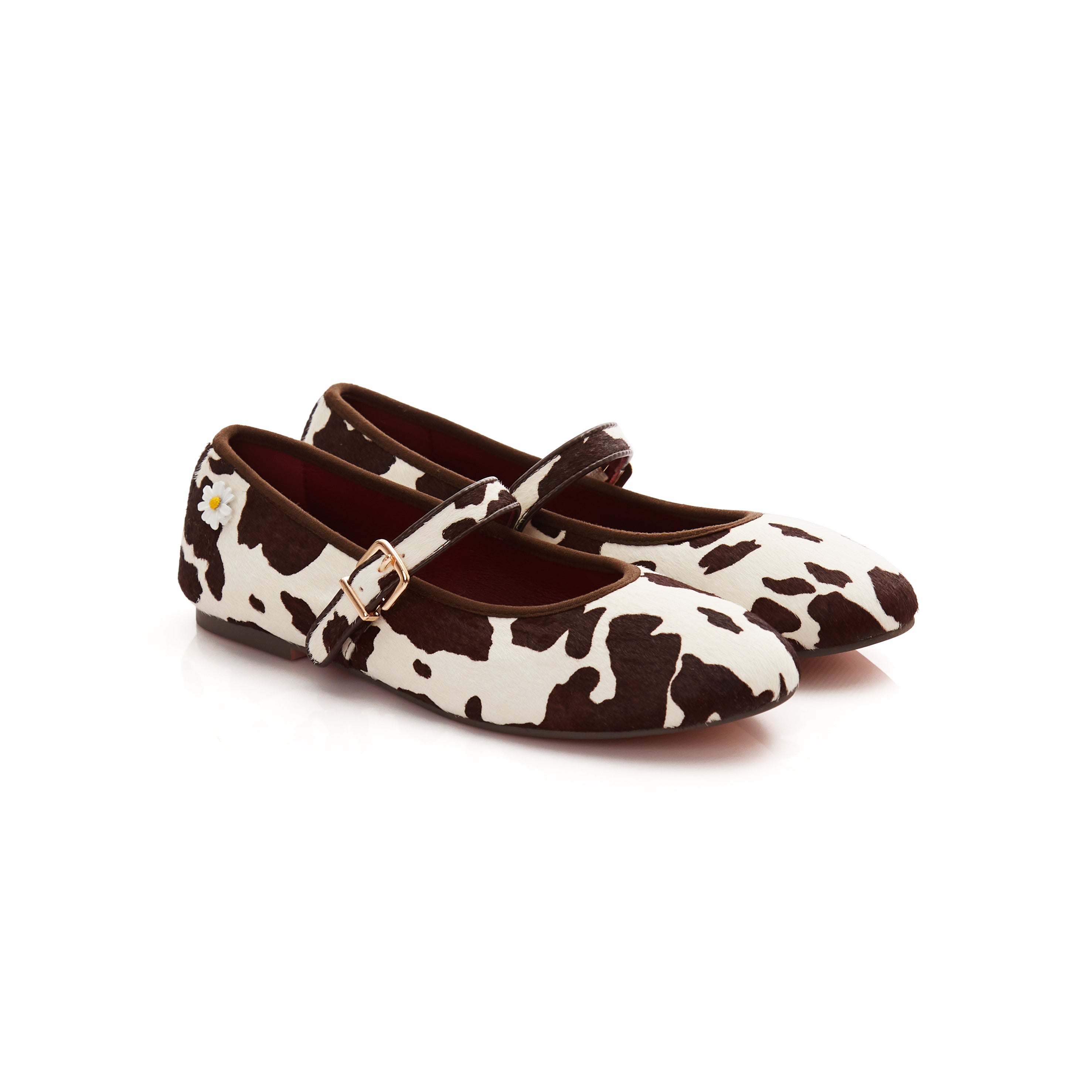Carter Flats in Cow Ride