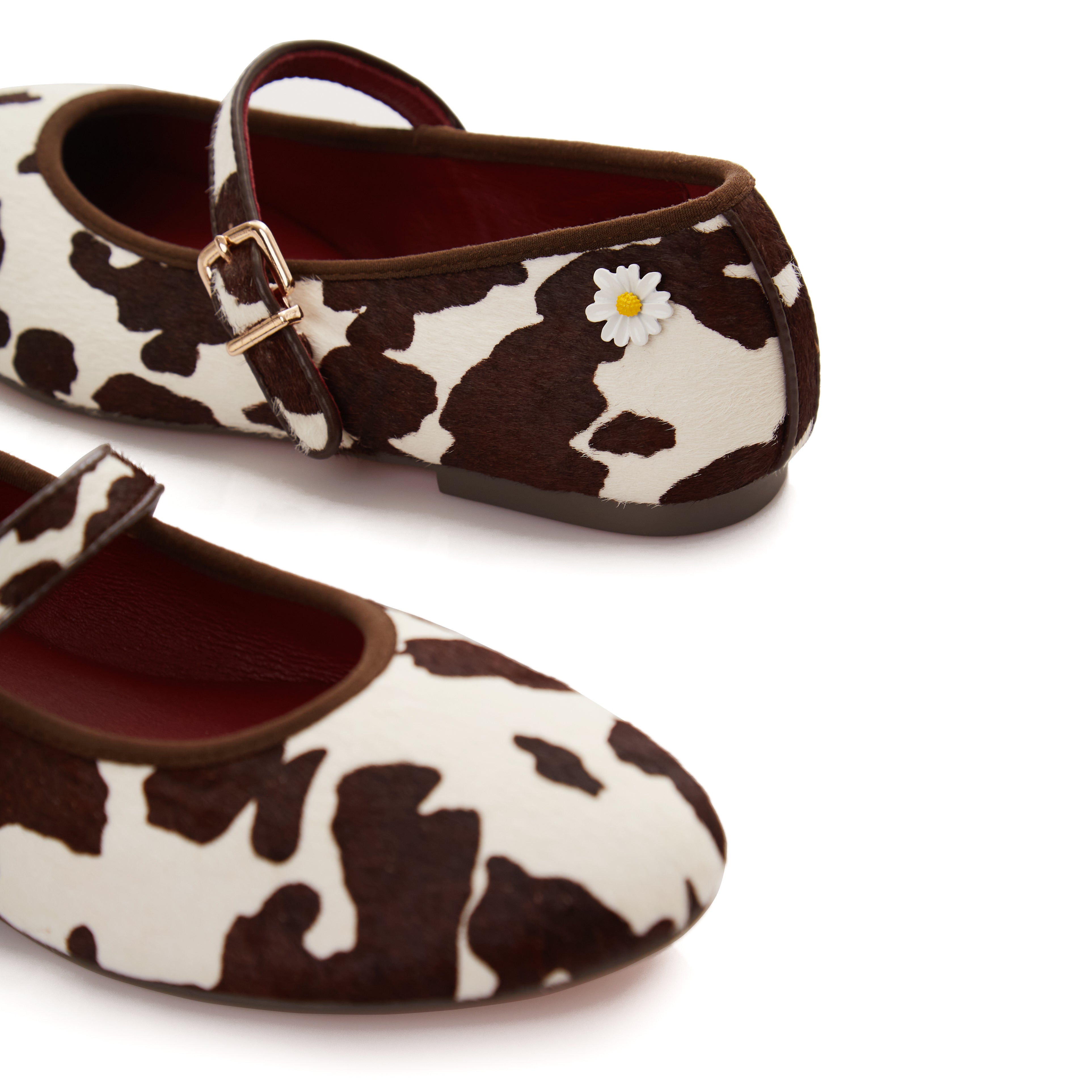 Carter Flats in Cow Ride