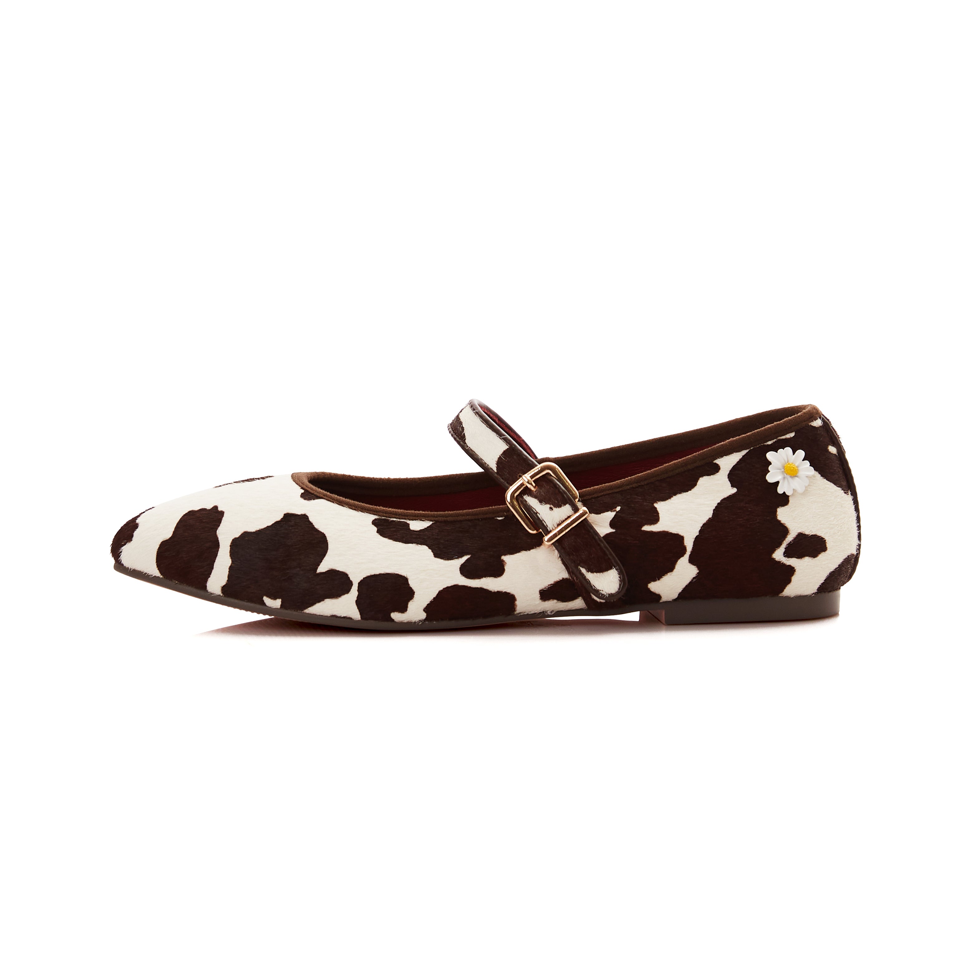 Carter Flats in Cow Ride