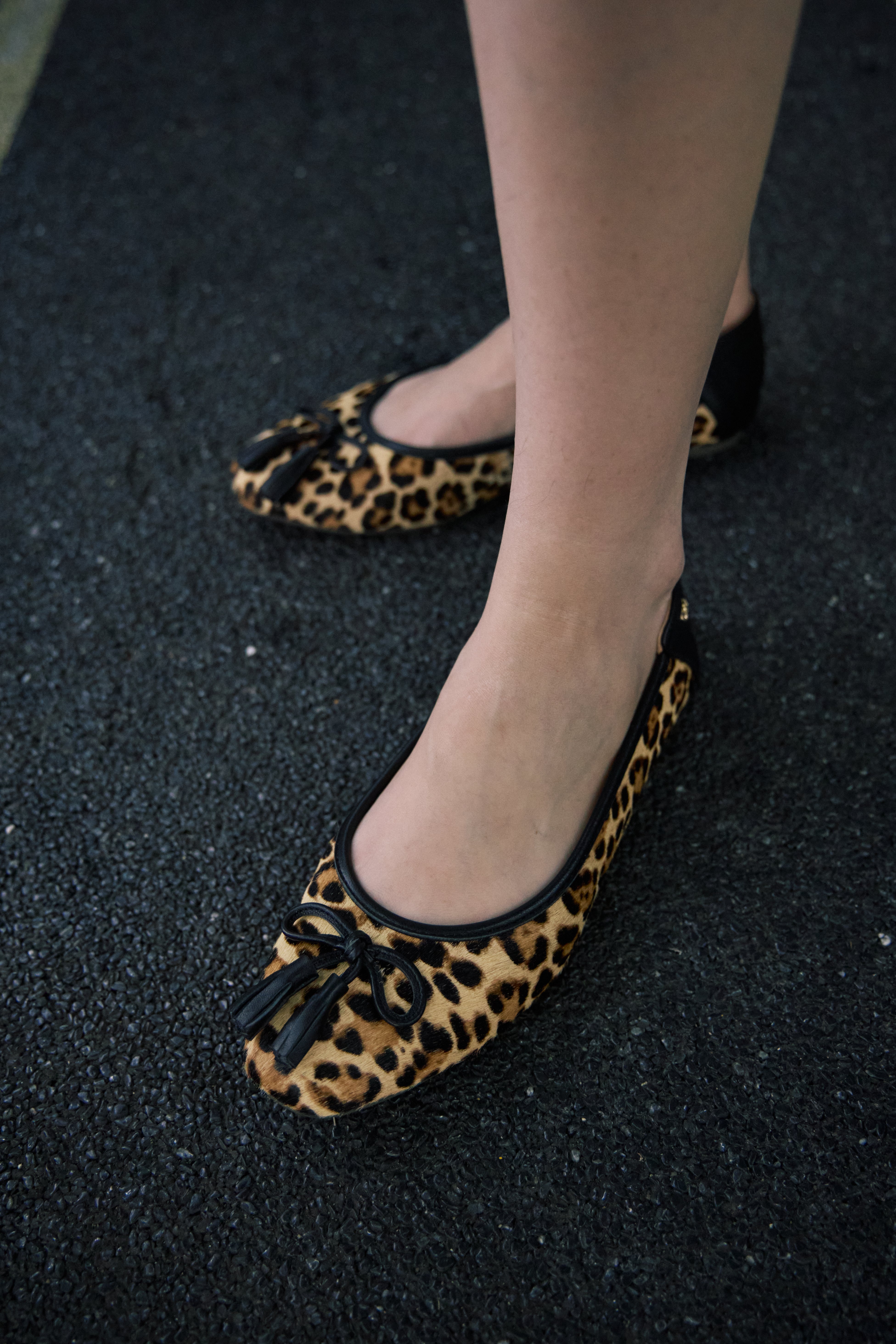 Audrey Pony In Summer Leopard
