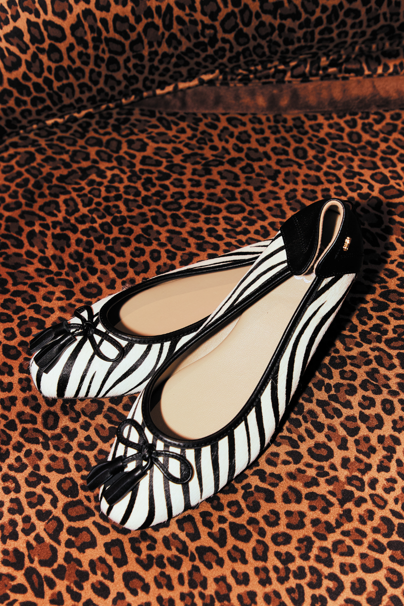 Audrey Pony In Wild Zebra